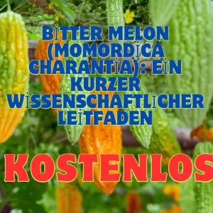 Bitter Melon