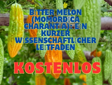 Bitter Melon