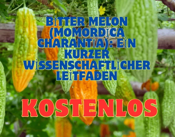 Bitter Melon